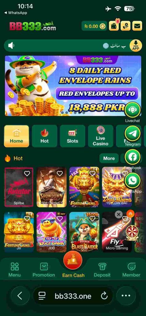 BB333 Game